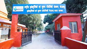 Psychographic Society - National Institute of Electronics and Information Technology, Gorakhpur (UP) 2025-2026-2027 Round 1 Closing Rank-GEN, EWS, OBC, SC, ST, Female Cut Off-CSE, Electrical gfti gorakhpur